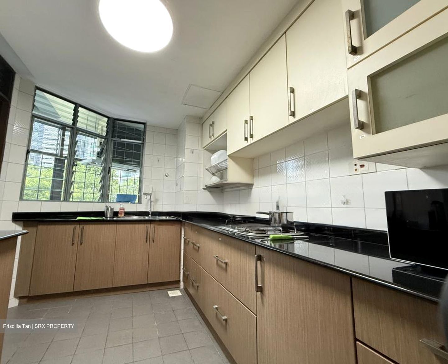 Astor Green (D21), Condominium #471437141